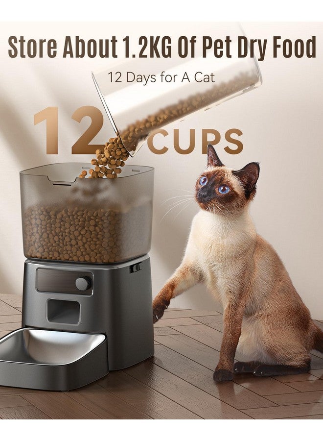 oneisall Automatic Cat Feeder, WiFi Cat Food Dispenser with App Control, Auto Cats Feeder Automatic for Dry Food, Smart Pet Food Dispenser with Portion Control for Small Pets Indoor - Image 4