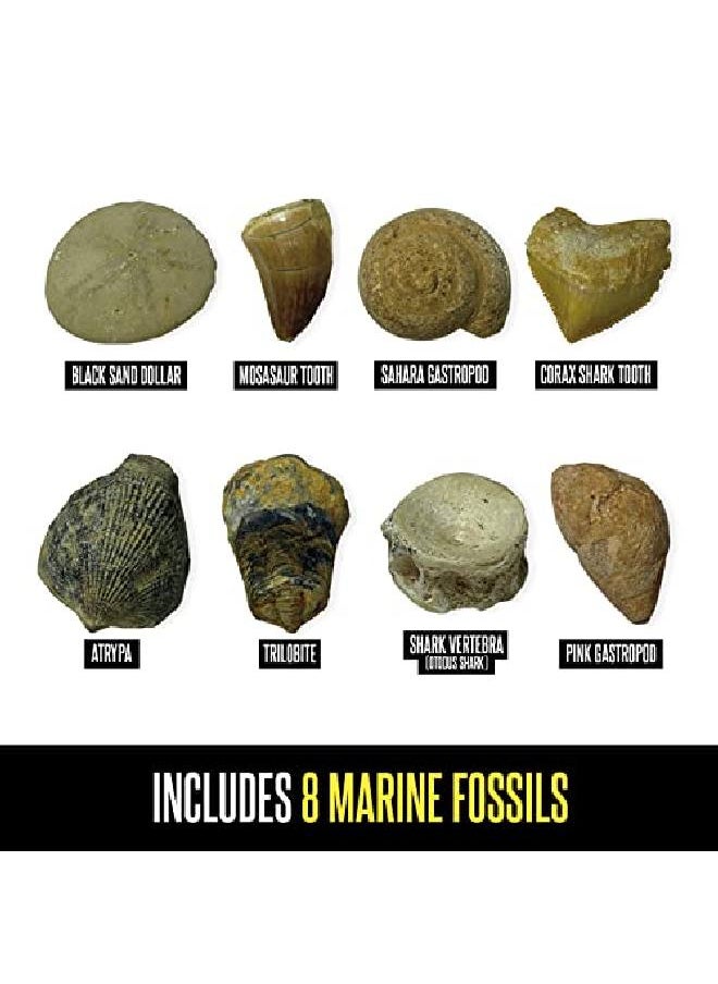Educational Insights - Geosafari Fossil Excavation Kit Kids Science Kit Dinosaur Science Toy Ages 7+ - Image 1