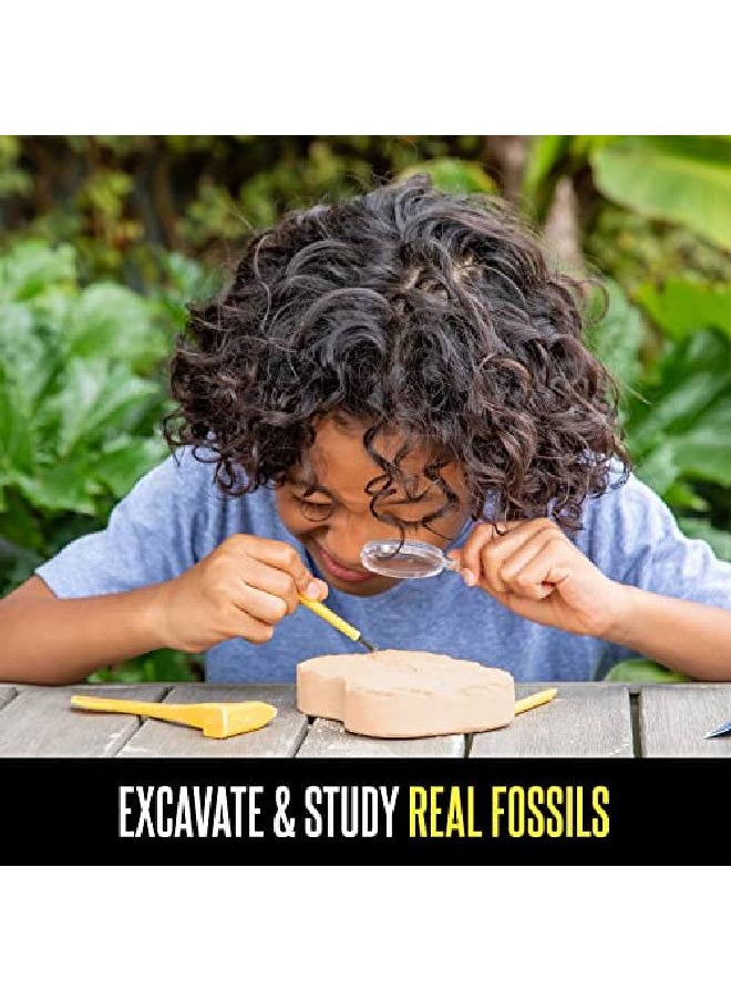 Educational Insights - Geosafari Fossil Excavation Kit Kids Science Kit Dinosaur Science Toy Ages 7+ - Image 1