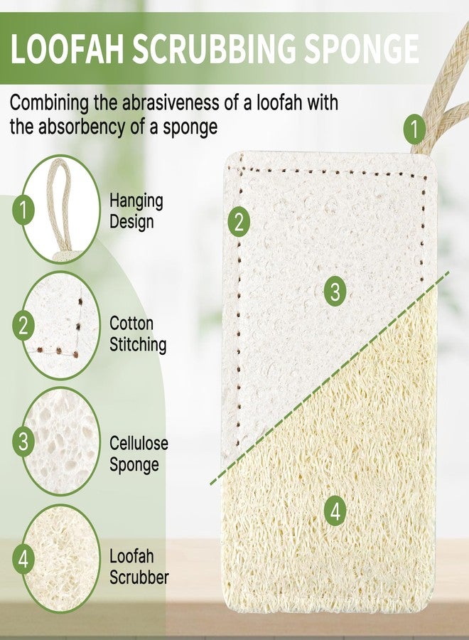 derloyo 6 Pack Natural Loofah Sponges for Dishes, Loofah Kitchen Sponges with Cellulose & Cotton Loop, Natural Sponges for Dishes & Kitchen Cleaning - Image 3