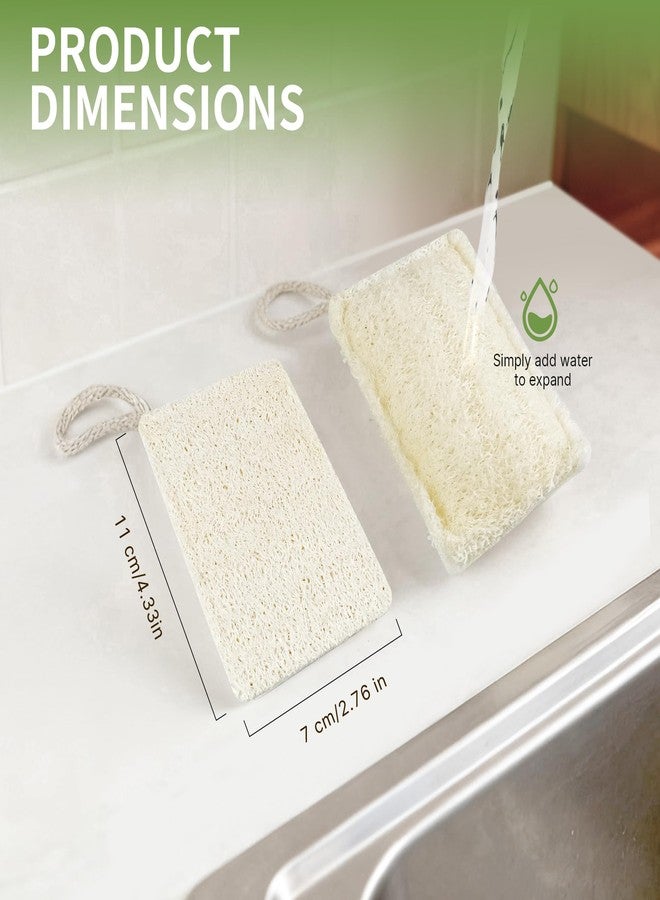 derloyo 6 Pack Natural Loofah Sponges for Dishes, Loofah Kitchen Sponges with Cellulose & Cotton Loop, Natural Sponges for Dishes & Kitchen Cleaning - Image 2