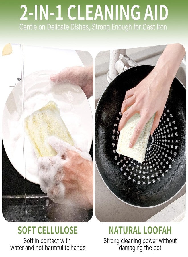 derloyo 6 Pack Natural Loofah Sponges for Dishes, Loofah Kitchen Sponges with Cellulose & Cotton Loop, Natural Sponges for Dishes & Kitchen Cleaning - Image 4