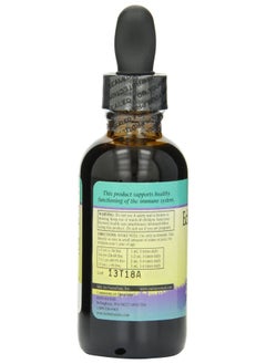 Herbs For Kids Herbs for Kids Echinacea/Goldenroot (BlackBerry, 2oz)  - Image 2