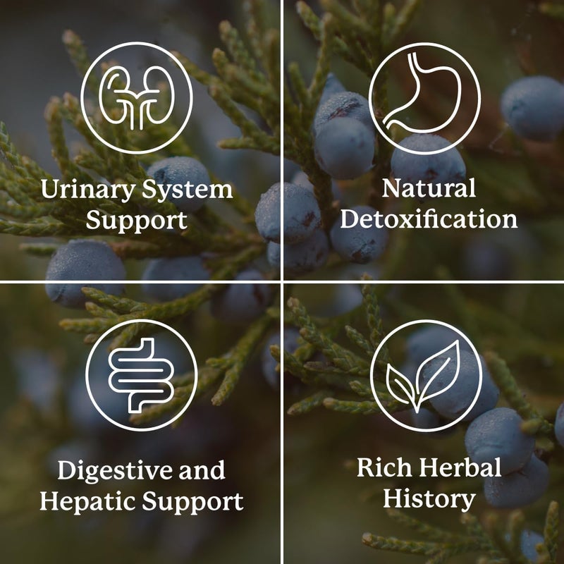 Nature's Sunshine Kidney Activator Capsules - 100 Count Natural Kidney Support Supplement - Image 4