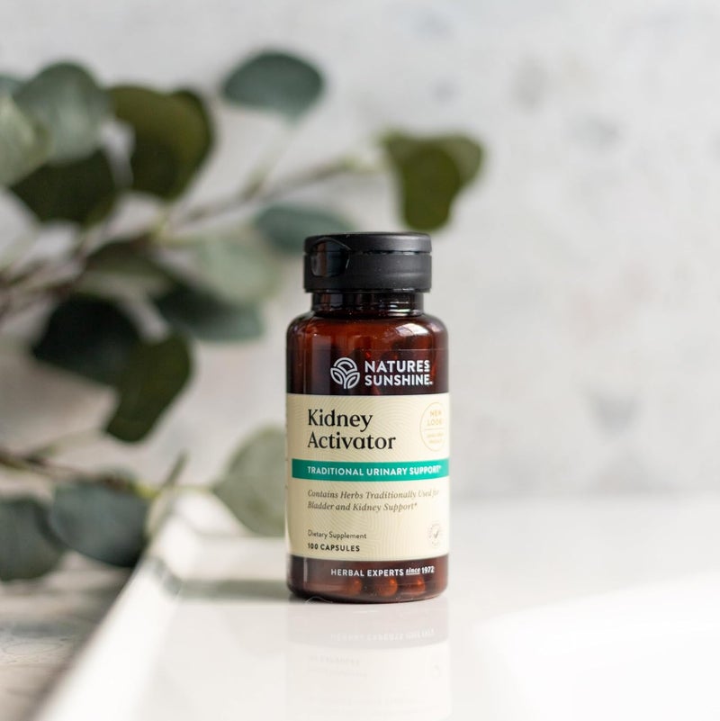 Nature's Sunshine Kidney Activator Capsules - 100 Count Natural Kidney Support Supplement - Image 3