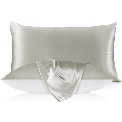 LILYSILK 19mm Silk Pillowcase for Hair and Skin with Cotton Underside Standard/Queen 20x30 Inch Silvergray 1pc - Image 1