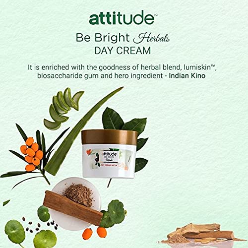Amway كريم النهار والليل من أمواي أتيتيود بي برايت بالأعشاب SPF15 50 جرام كومبو - Image 2