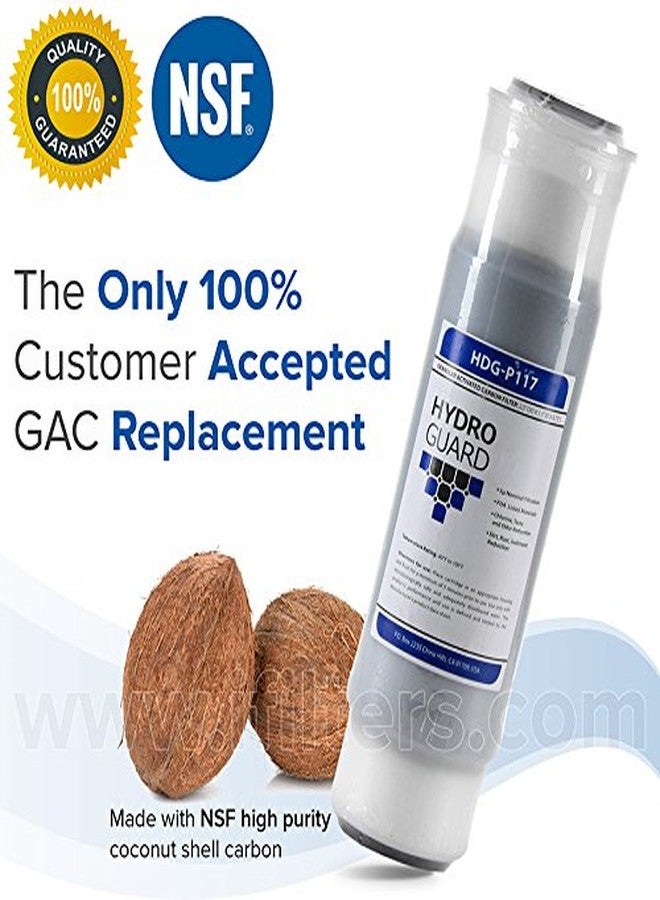Hydronix HDG-P117 HydroGuard 2.5" OD X 10" GAC Compatible - Cuno - Image 2