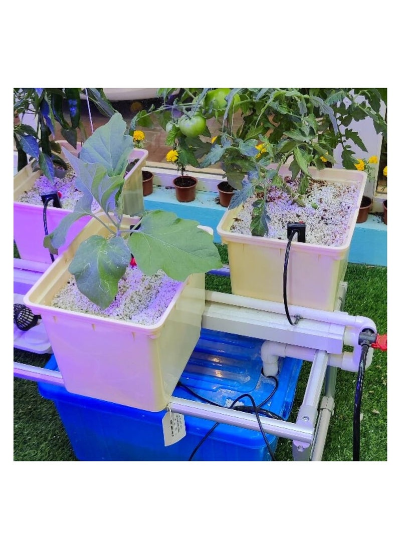 Hydroponic Dutch Bucket Mini Crop Production Kit – 5 Bucket System with Siphon Elbows, Potting Mix, Pump & Timer – Ideal for Tomato, Cucumber, Chili & More