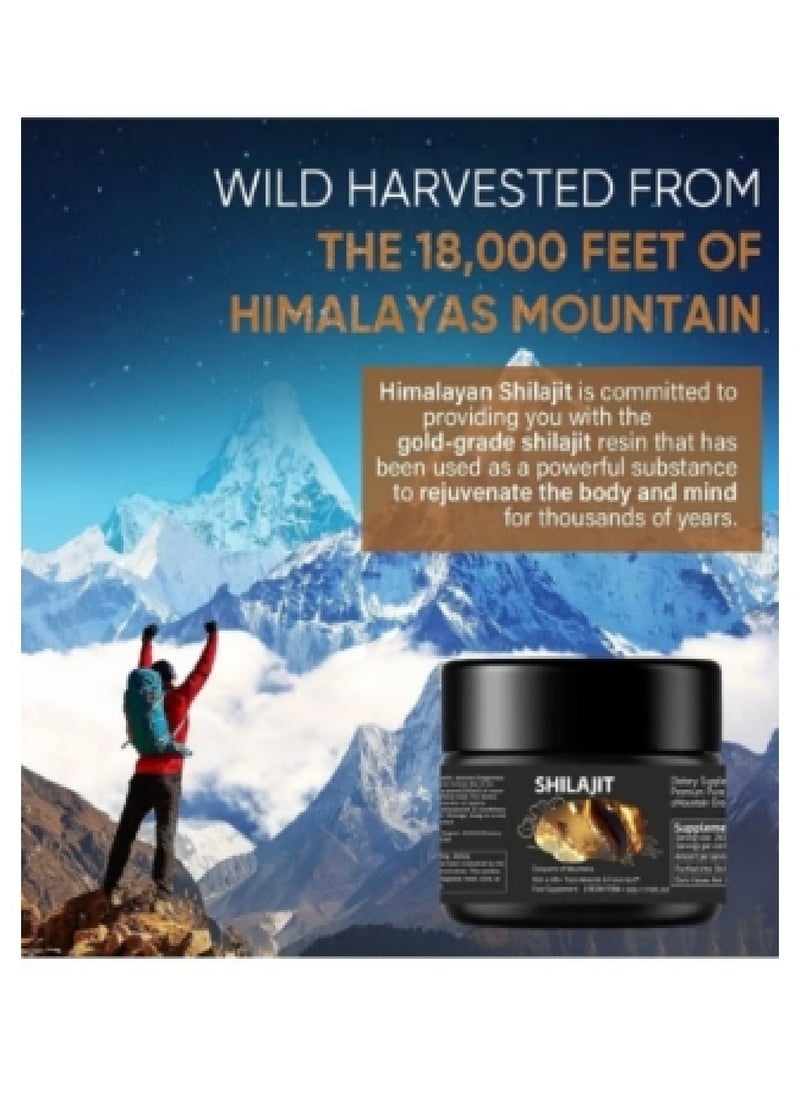 Shilajit RX Pure Himalayan Shilajit Resin High Potency Gold Grade for Men & Women| 75 Servings for Energy Boost & Immune Support, 85+ Trace Minerals, 75%+ Fulvic Acid  - Image 2