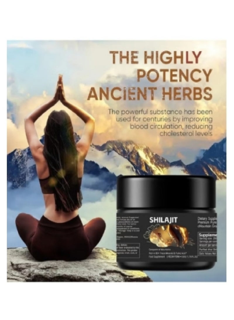 Shilajit RX Pure Himalayan Shilajit Resin High Potency Gold Grade for Men & Women| 75 Servings for Energy Boost & Immune Support, 85+ Trace Minerals, 75%+ Fulvic Acid  - Image 3