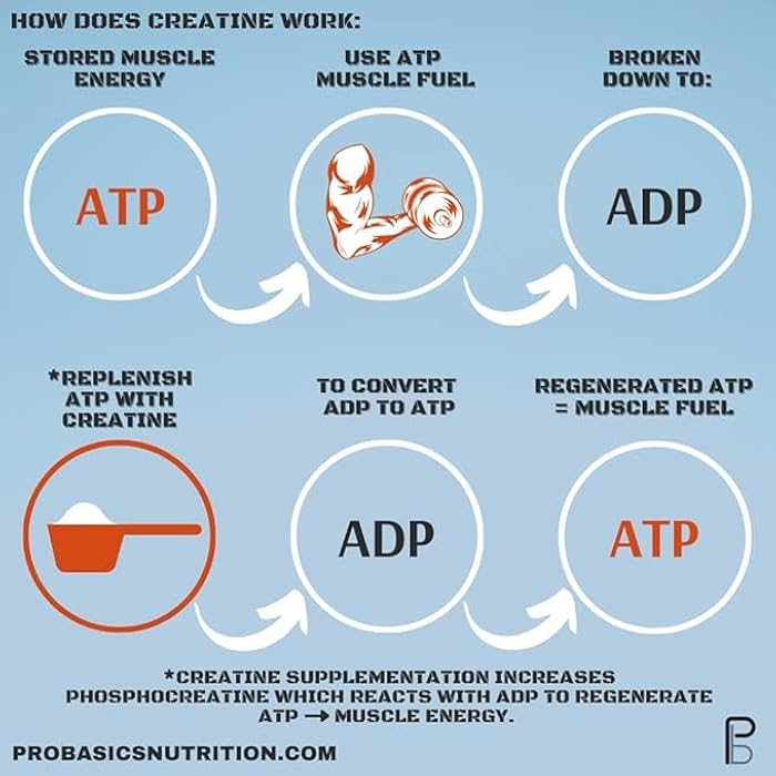 Pro Basics Micronized Creatine Monohydrate Powder 10.6oz. Unflavored. Pure Non Grainy Dissolve Easily No Additives Vegan & Keto. 60 Servings 5000mg 5g per Scoop. Take Pre or Post Workout - Image 4