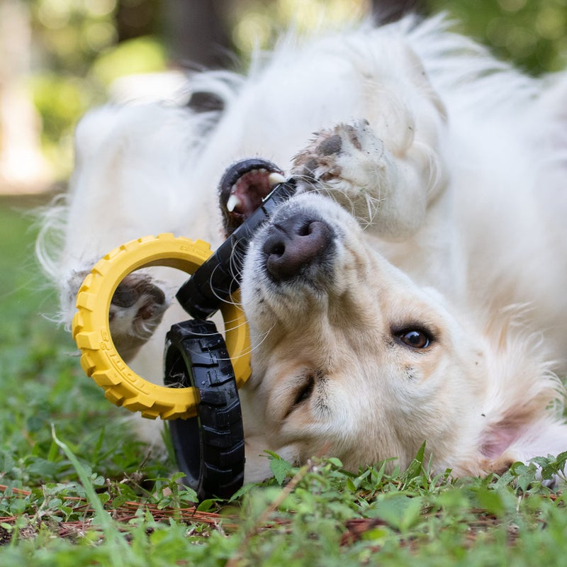 Tonka 3-Ring Tug Outdoor Dog Toy, 10.5 Inch Ring Dog Tug Toy for Medium and Large Breeds, Black/Yellow - Image 2
