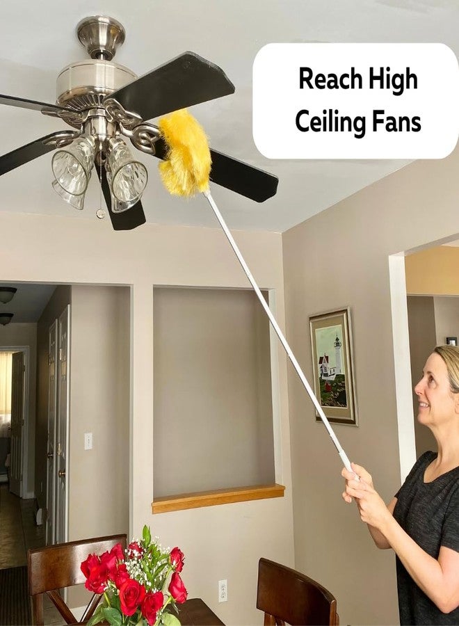 Evelots Ceiling Fan Blade Brush Cleaner - Long Extension Pole - Brush Both Sides at The Same Time - Scratch Resistant Microfiber Feather Cobweb Duster - Extra Long with Reach up to 9 Feet - Image 4