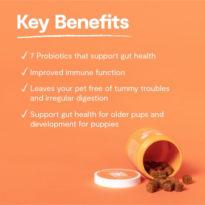 Open Farm Probiotic Chews, Dog Supplement, Dog Vitamins, Supports Normal Flora and Bowel Movement Using Traceable and Vet-Approved Ingredients, 12.7 oz, 90 Count - Image 4