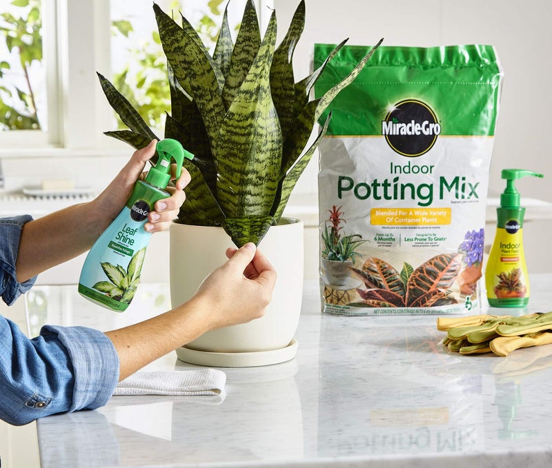 Miracle-Gro Indoor Potting Mix, Indoor Plant Food & Leaf Shine - Bundle of Potting Soil (6 qt.), Liquid Plant Food (8 oz.) & Leaf Shine (8 oz.) for Growing, Fertilizing & Cleaning Houseplants - Image 4