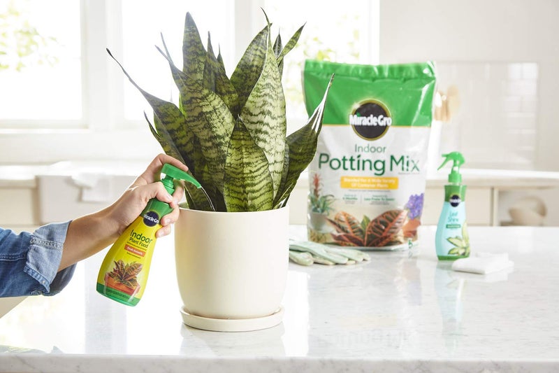 Miracle-Gro Indoor Potting Mix, Indoor Plant Food & Leaf Shine - Bundle of Potting Soil (6 qt.), Liquid Plant Food (8 oz.) & Leaf Shine (8 oz.) for Growing, Fertilizing & Cleaning Houseplants - Image 5