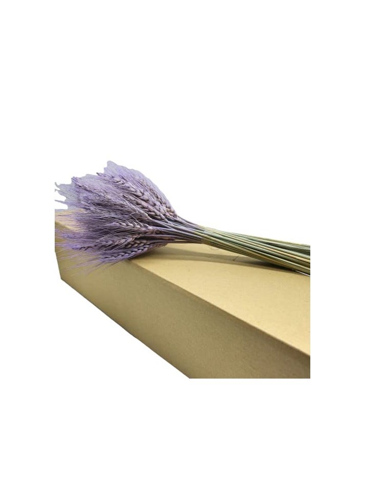 ماركة غير محددة باقة قمح صناعي (200 ساق  - Image 3