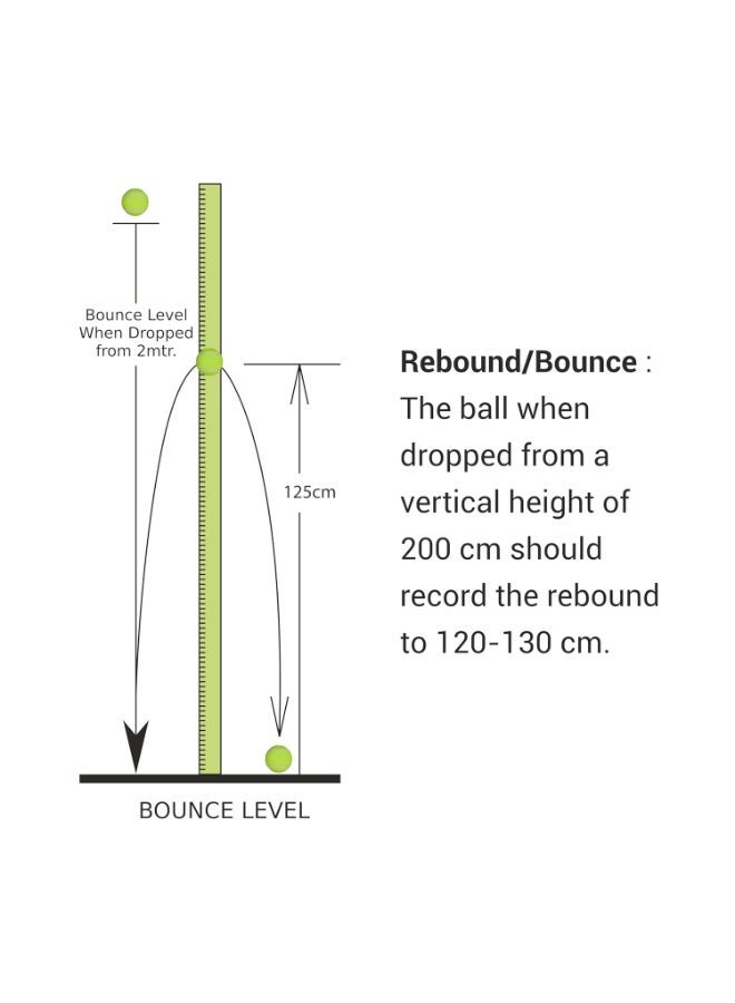 نيفيا كرات تنس كريكيت خفيفة الوزن – عبوة من 6 كرات عالية الجودة للتدريب وممارسة الكريكيت - Image 5