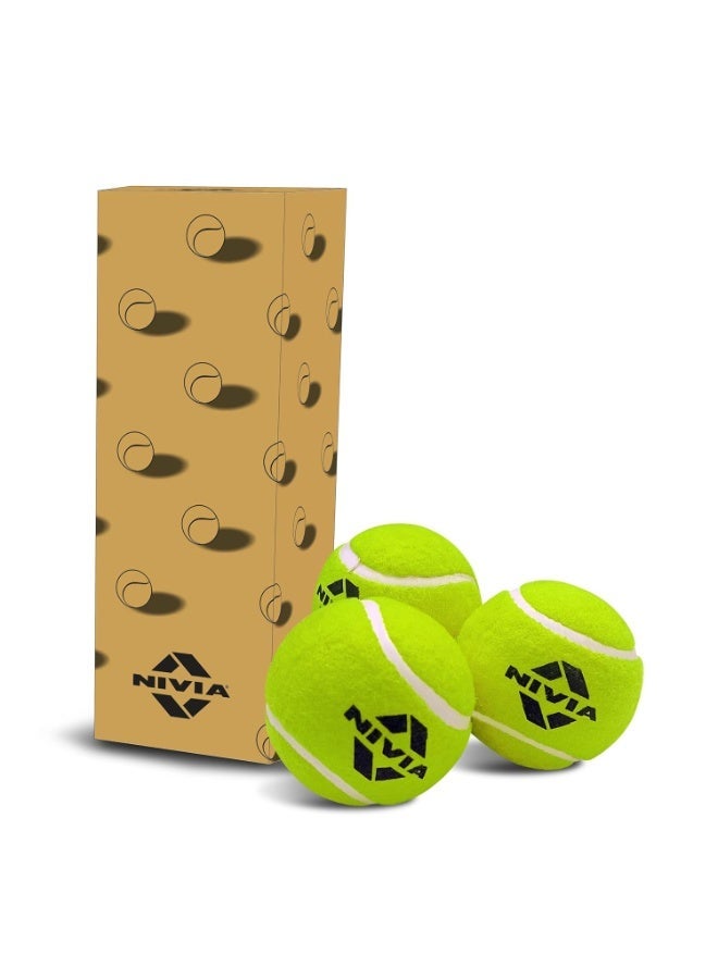 نيفيا كرات تنس كريكيت خفيفة الوزن – عبوة من 6 كرات عالية الجودة للتدريب وممارسة الكريكيت - Image 1