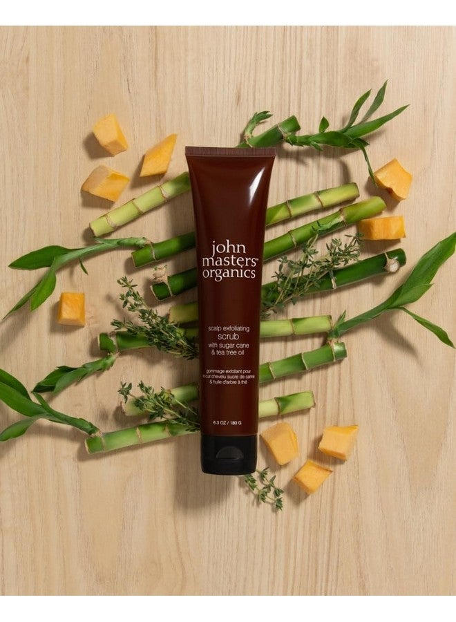 John Masters Organics Scalp Exfoliating Scrub 5 Fl Oz - Image 2