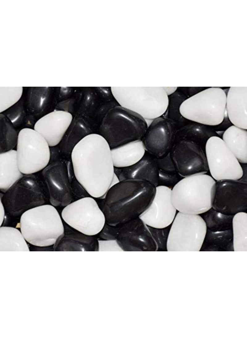 OhhSome Ohhsome Polished White Black Mix Colour Natural Pebbles Glossy Stone for Home Office Garden Decoration Shiny Stones Vase Fillers 1Kg  - Image 1