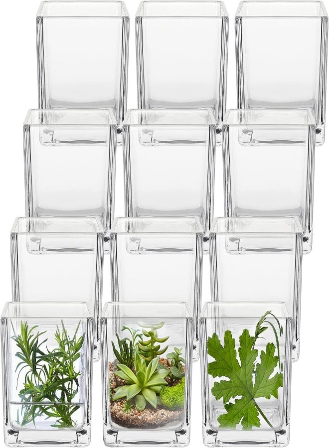 AKDC 12 Pack Clear Square Glass Vases, Planter Terrarium Flowers Vase Candle Holder For Home,Garden, Wedding Centerpiece Decrations And Formal Dinners (Width 3", Height 3") - Image 3