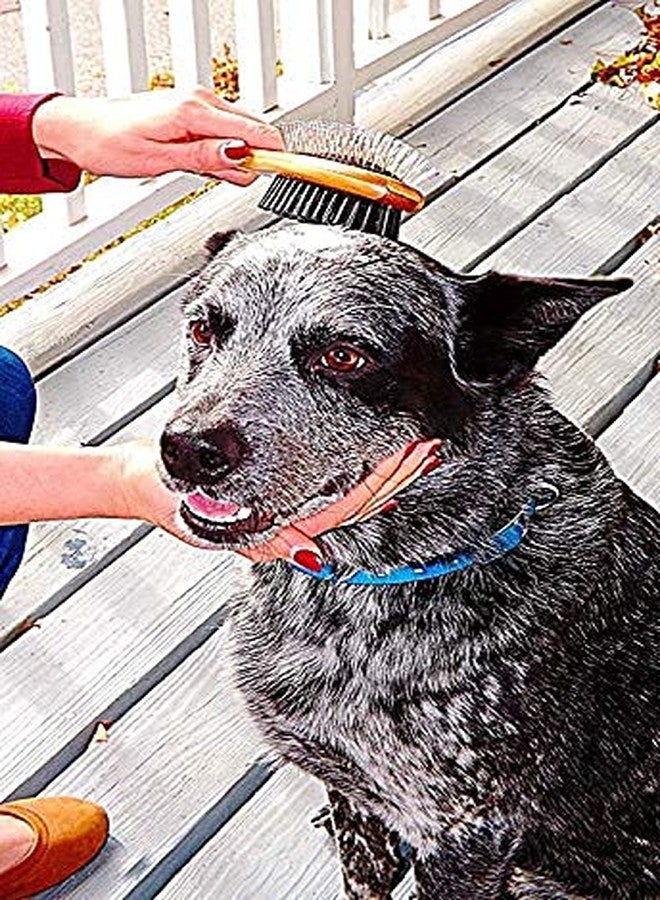 DreamAuro Eco Friendly Wood Pet Grooming & Deshedding Double Sided Pin & Bristle Brush for Long or Short haired Dogs and Cats (Medium Size) - Image 5