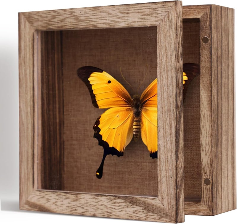 KAASTHAA 5x5 Small Shadow Box Frame Display Case, Magnetic Door, with Linen Back , for Memory Box, CD Frame Display Case, Seashell, Flower, Pictures, Pet Memory Display Box, Wood Pin - Image 5