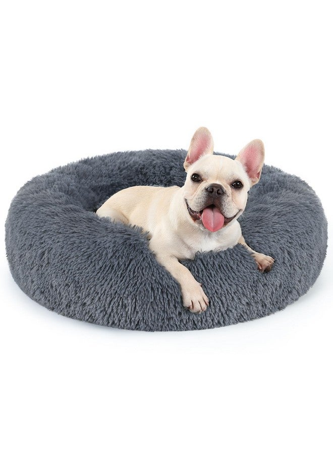 Rabbitgoo Dog Bed For Small Dogs, 24 Inches Washable Small Dog Bed, Fluffy Donut Dog Bed AntiSlip, Calming Soft Plush Round Pet Bed For Dogs, Fits Up To 18 Lbs Pets, Dark Grey - Image 1