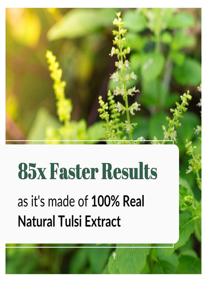 Nature Code Ayurvedic Tulsi Extract 400mg Capsules | Supports Immune Health and Natural Wellness | Helps Maintain Calmness and Everyday Balance | 60 Veg Capsules - Image 3