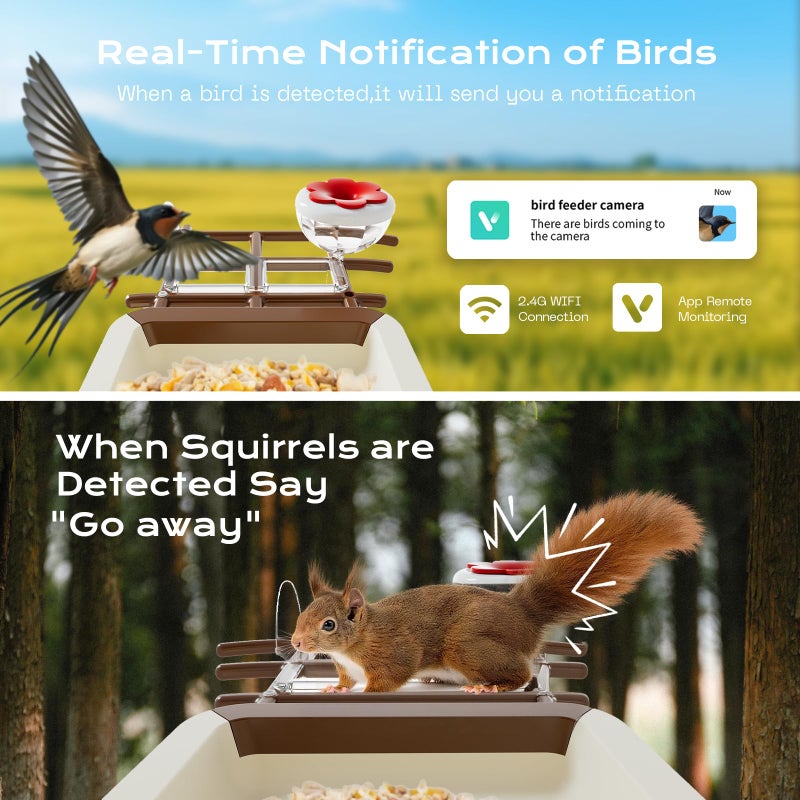 Lagriner Bird Feeder with Camera, 2K HD Live Video, Smart Bird Cam Solar Powered with AI Birds Species Identification, Auto Capture Video, Instant Arrival Alerts, Best Gifts for Mom Dad - Image 2
