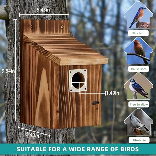 Puyikes 2 Pack Bird Houses for Outside, Outdoors Birdhouse Feeder for Bluebird,Cardinal,Purple Martin and Sparrow,Wooden Cedar Hanging Birds Nest,Easy to Clean,No Assembly Needed - Image 2
