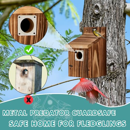 Puyikes 2 Pack Bird Houses for Outside, Outdoors Birdhouse Feeder for Bluebird,Cardinal,Purple Martin and Sparrow,Wooden Cedar Hanging Birds Nest,Easy to Clean,No Assembly Needed - Image 3