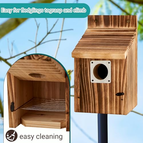 Puyikes 2 Pack Bird Houses for Outside, Outdoors Birdhouse Feeder for Bluebird,Cardinal,Purple Martin and Sparrow,Wooden Cedar Hanging Birds Nest,Easy to Clean,No Assembly Needed - Image 5