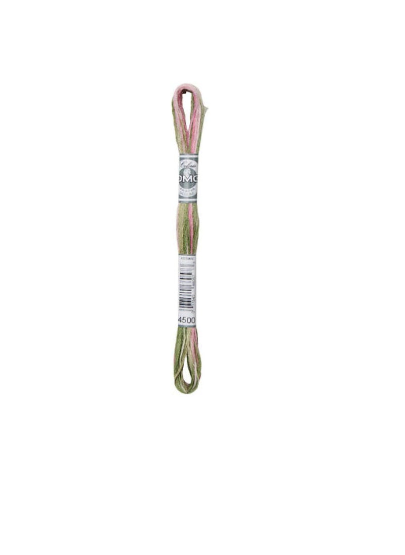 DMC DMC Coloris 6-Strand Embroidery Cotton Floss 8.7yd Columbine Gardens  - Image 1