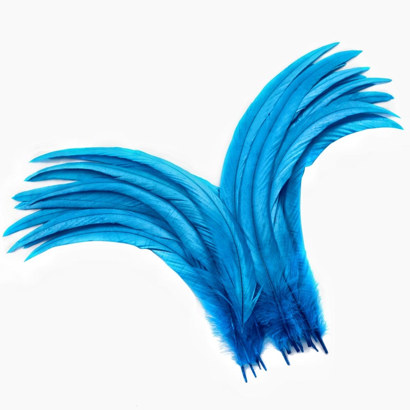 Holmgren Turquoise Rooster Tail Feathers - 60pcs 12-14inch Natural Long Rooster Tail Feathers Bulk for DIY Crafts Hats Costume and Holiday Themed Party Decoration (Turquoise) - Image 1
