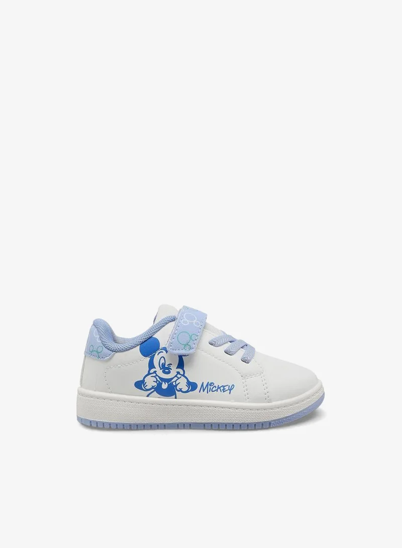 Disney BLUE Boys Hook & Loop Ankle Sneakers for Men | Best Price UAE