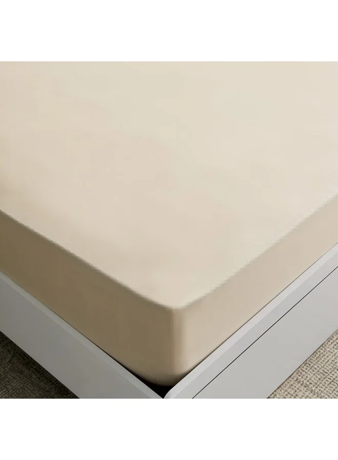 هوم بوكس شرشف سرير قطني أساسي مقاس كوين 150 × 200 × 36 سم