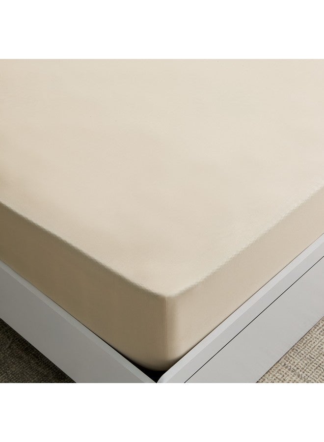 Home Box Essential Cotton Queen Fitted Sheet 150 x 200 x 36 cm  - Image 5
