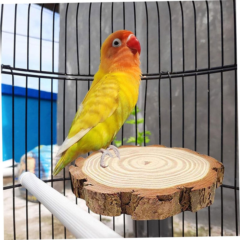 2Pcs Natural Wood Bird Perch Stand Platform for Parrots Squirrels Chinchillas Random Color - Image 5
