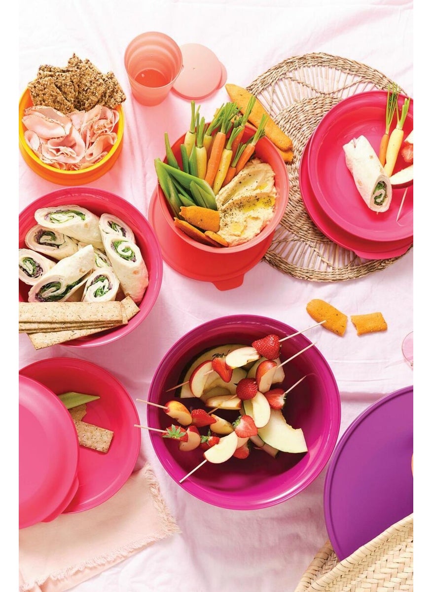 Tupperware - Aloha Container Set of 4 450 ml- 1 Lt- 2Lt- 4 Lt - Image 1