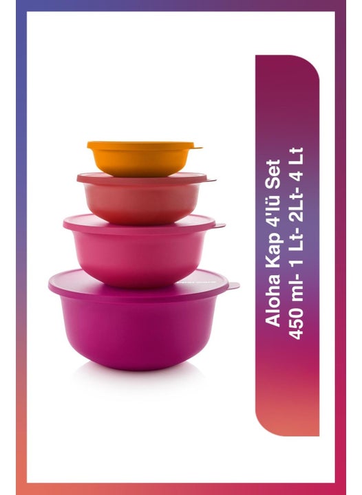 Aloha Container Set of 4 450 ml- 1 Lt- 2Lt- 4 Lt