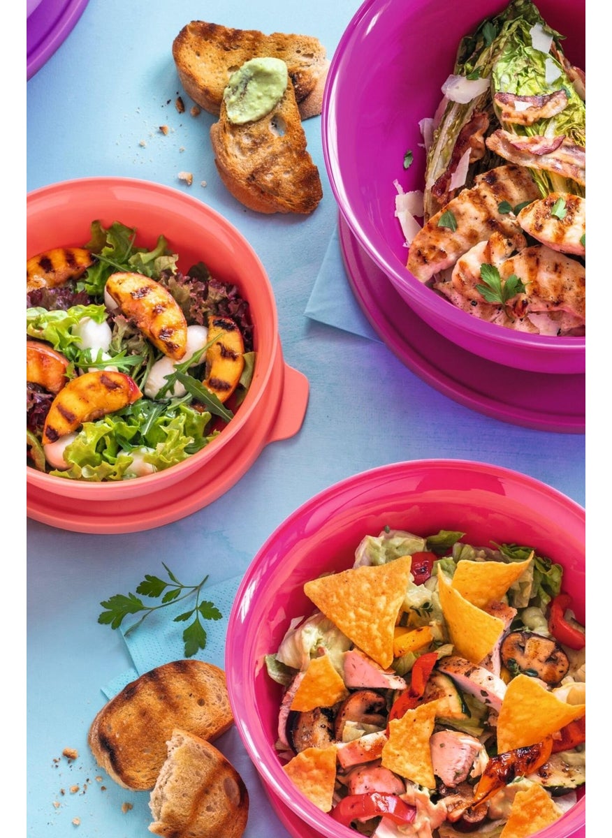 Tupperware - Aloha Container Set of 4 450 ml- 1 Lt- 2Lt- 4 Lt - Image 1