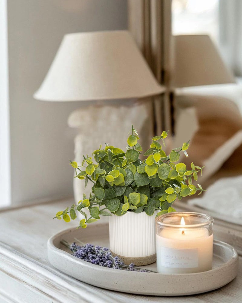 Coferset Small Fake Plants Eucalyptus Potted Artificial Plants Faux Plant Greenery in Ceramic Pot for Bedroom Kitchen House Living Room Shelves Farmhouse Table Office Desk Bathroom Home Indoor Decor - Image 3