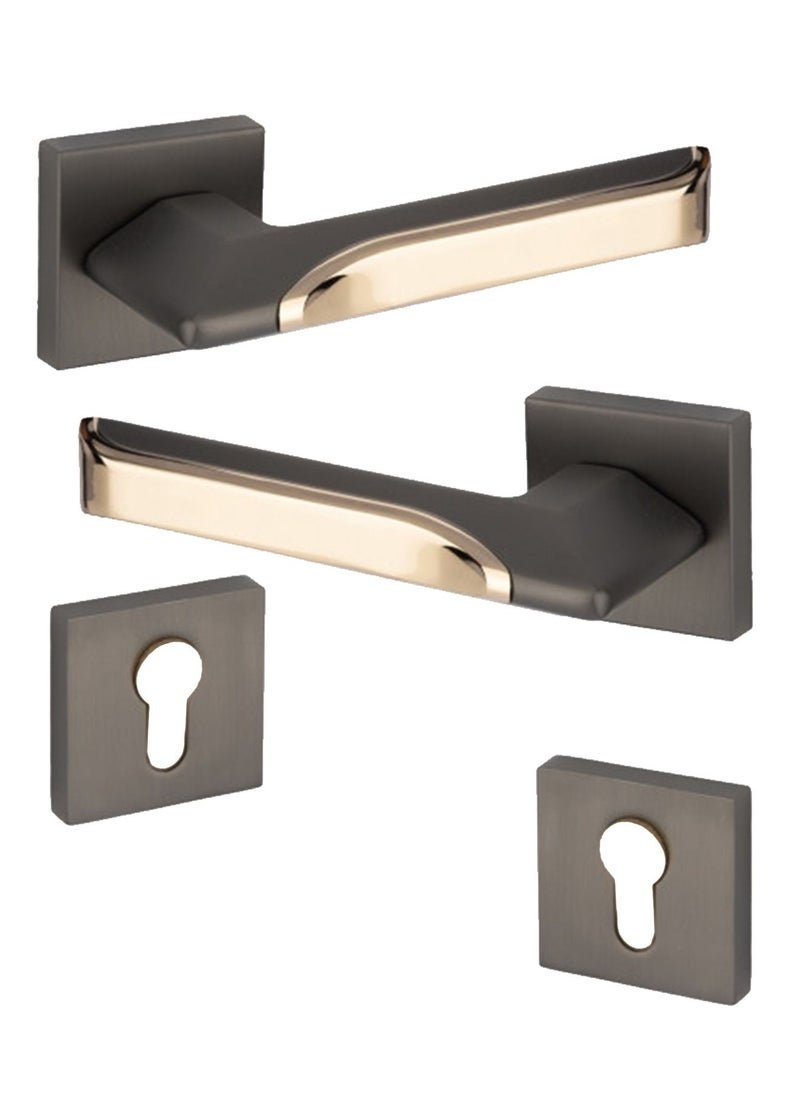 Lozan Heavy Door Handles Pair Black / Golden 