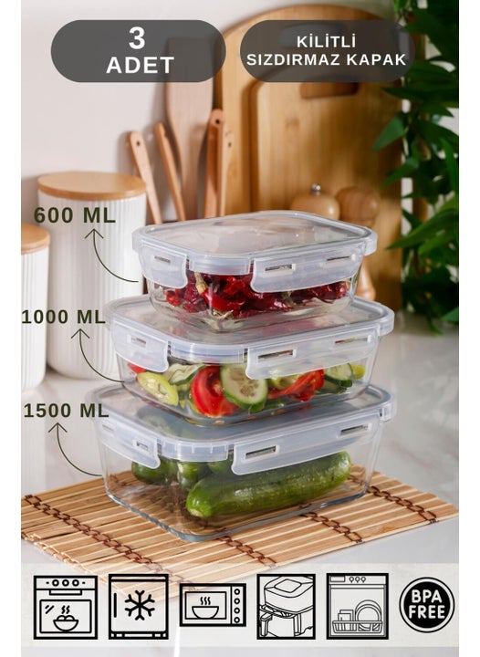 Homenıva Borosilicate Glass Leakproof Lockable Storage Container - Airfryer Container 3 Pieces