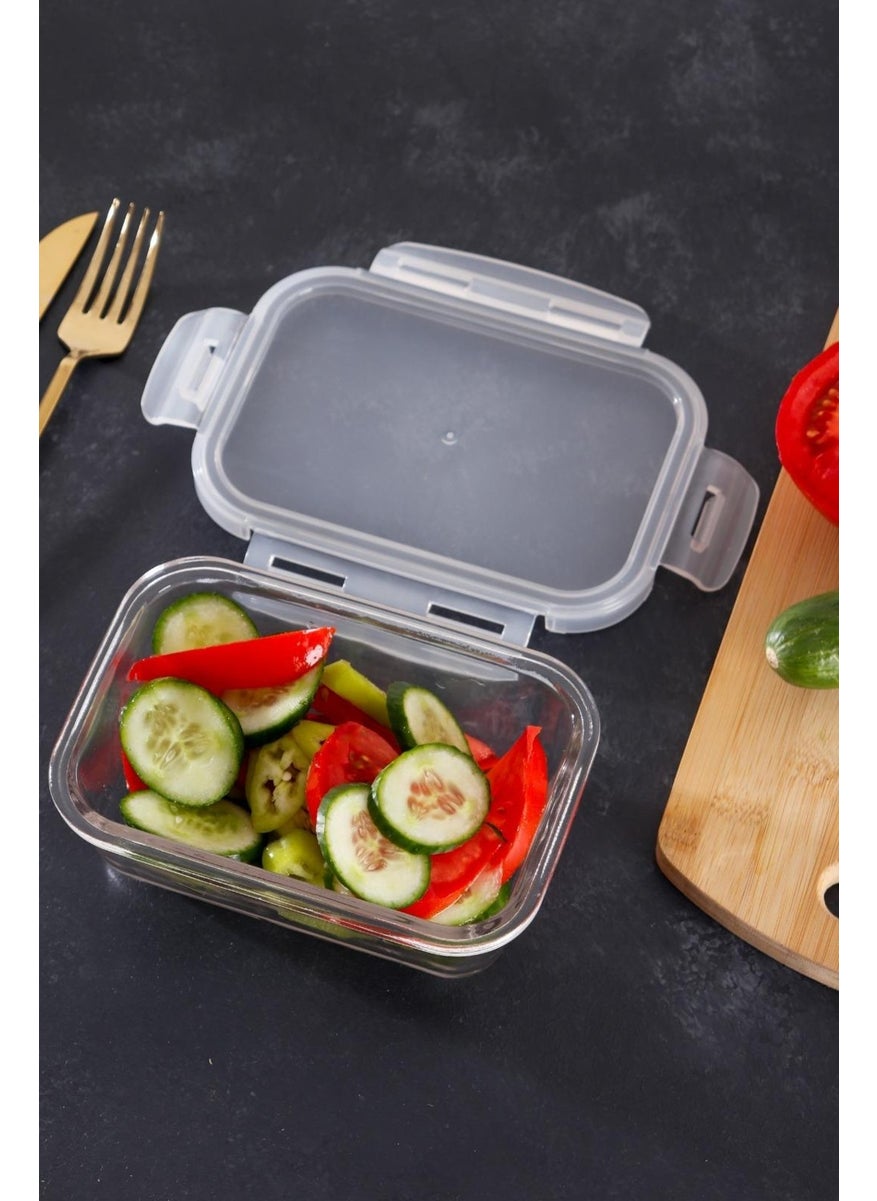 Homeniva - Homenıva Borosilicate Glass Leakproof Lockable Storage Container - Airfryer Container 3 Pieces - Image 1