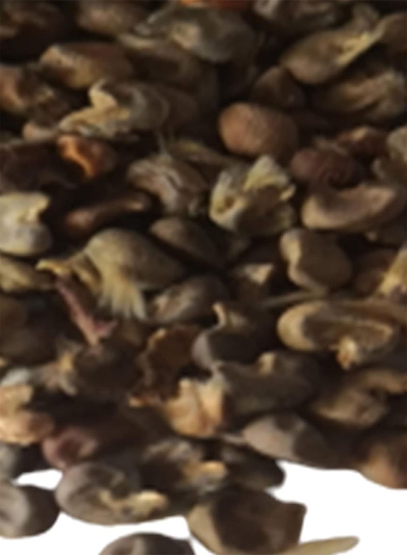 جي جوت بذور نباتات وبذور زهور، 200 قطعة/كيس، بذور زهرة الكركديه، سهلة الزراعة، متعددة الألوان، نباتات بونساي غزيرة الإنتاج، بذور للمنزل، بذور الكركديه للشرفة - Image 5