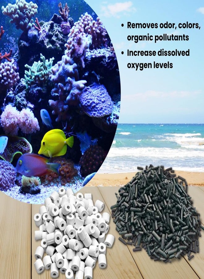 TED TABBIES 500g Activated Carbon + 500g Ceramic Rings with Net Bag All Aquarium Fish Tank - Image 3